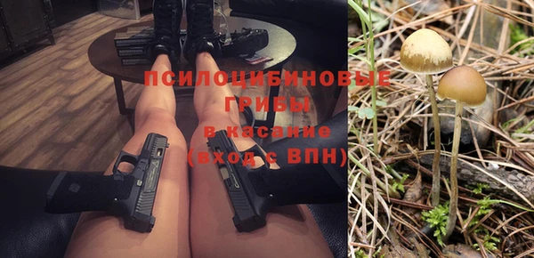 a pvp Абинск