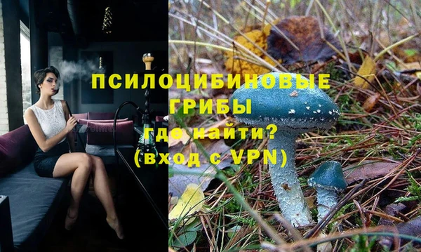 ешки Абаза