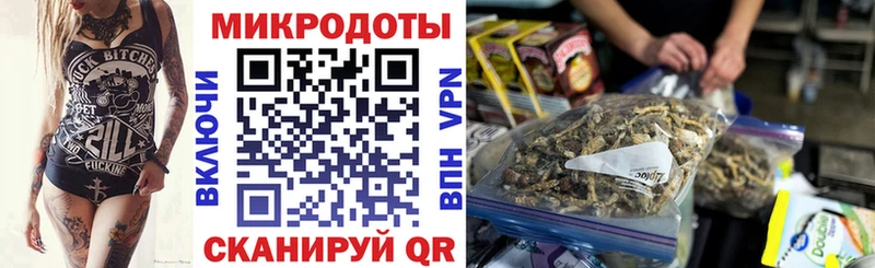Галлюциногенные грибы GOLDEN TEACHER  ссылка на мегу маркетплейс  Шенкурск 